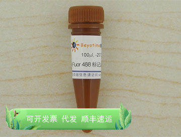 Alexa Fluor 488标记山羊抗小鼠IgG(H+L) 碧云天生物 Beyotime