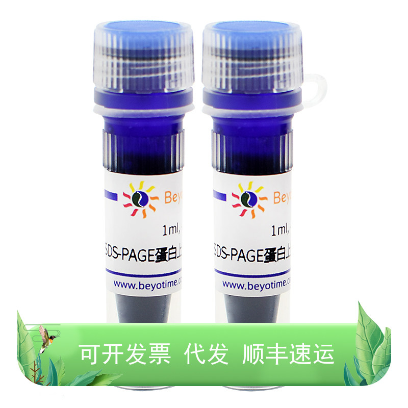 SDS-PAGE电泳液(Tris-Gly, 10X)