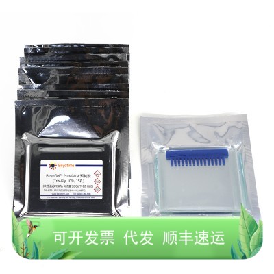 BeyoGel? Plus PAGE预制胶(Tris-Gly, 10%, 15孔）
