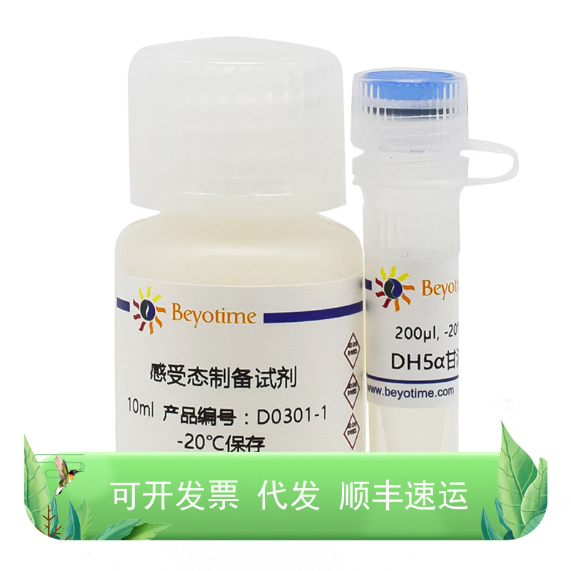 一步法感受态细菌制备试剂盒