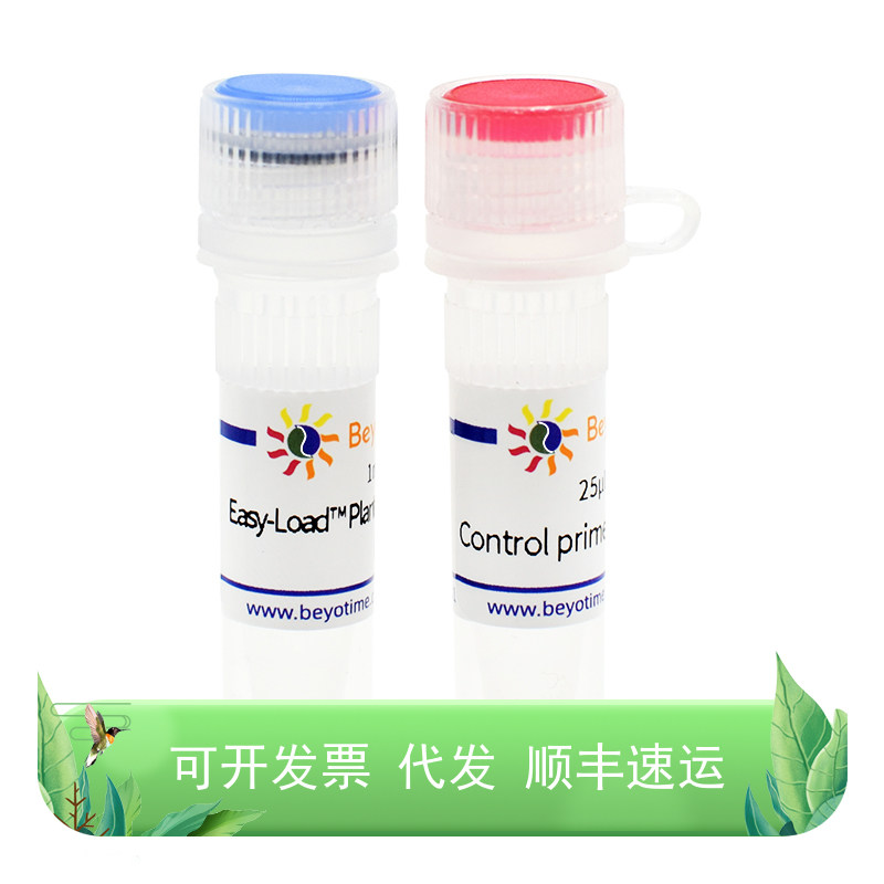 BeyoPlant?植物基因型快速鉴定试剂盒