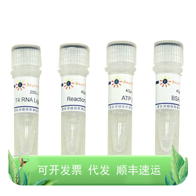 T4 RNA LigaseT4 DNA Polymerase核酸相关DNA操作修饰酶DNase I