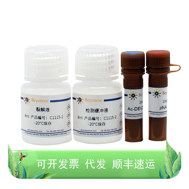 Caspase 3 活性检测试剂盒