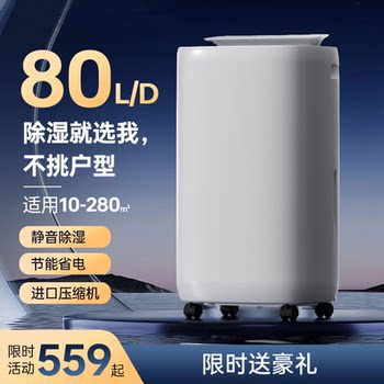 Dehumidifier imported compressor