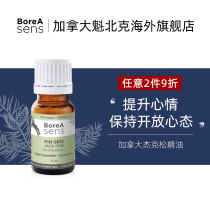 Canadian BoreA Sens Jackson Short Leaf Sone Single - sided Oil Aroma Soothes Scale Household Bedroom Care