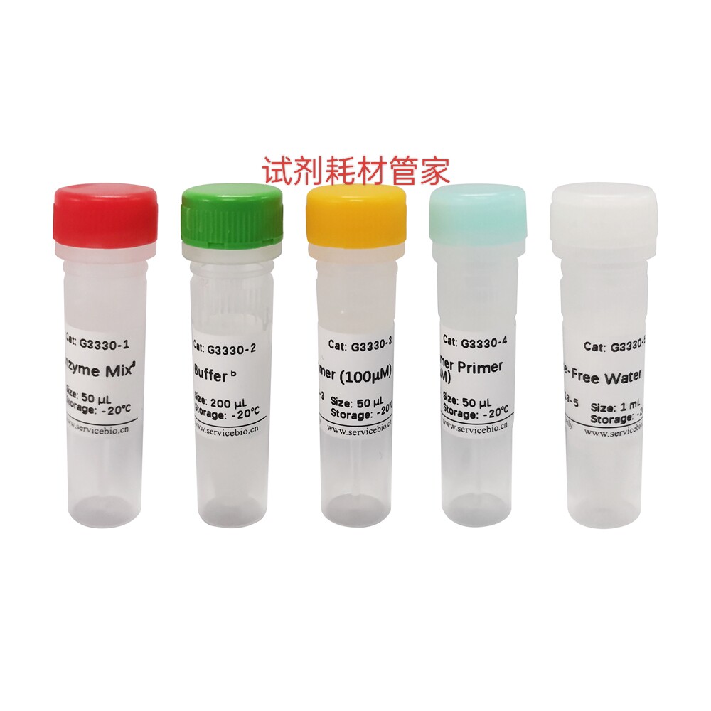 一代逆转录试剂盒 适PCR/RT-qPCR/cDNA文库构建/杂交/反义RNA合成