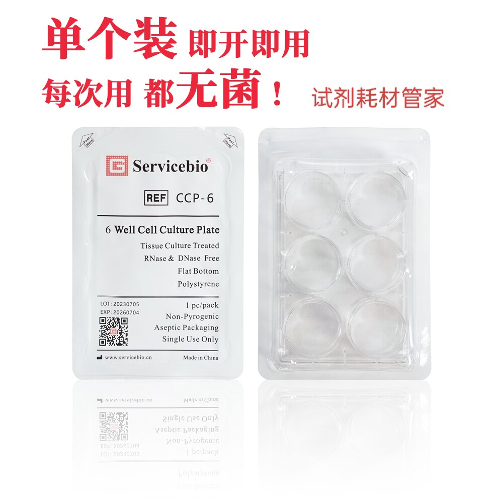 细胞培养板(6孔板/TC处理/塑料膜/单片装) 贴壁细胞和半贴壁细胞