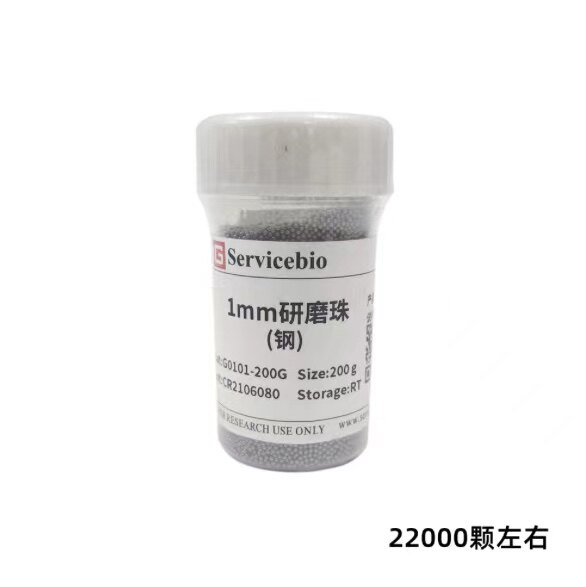 Servicebio研磨仪耗材1mm2mm3mm4mm不锈钢研磨珠200g适用蛋白提取