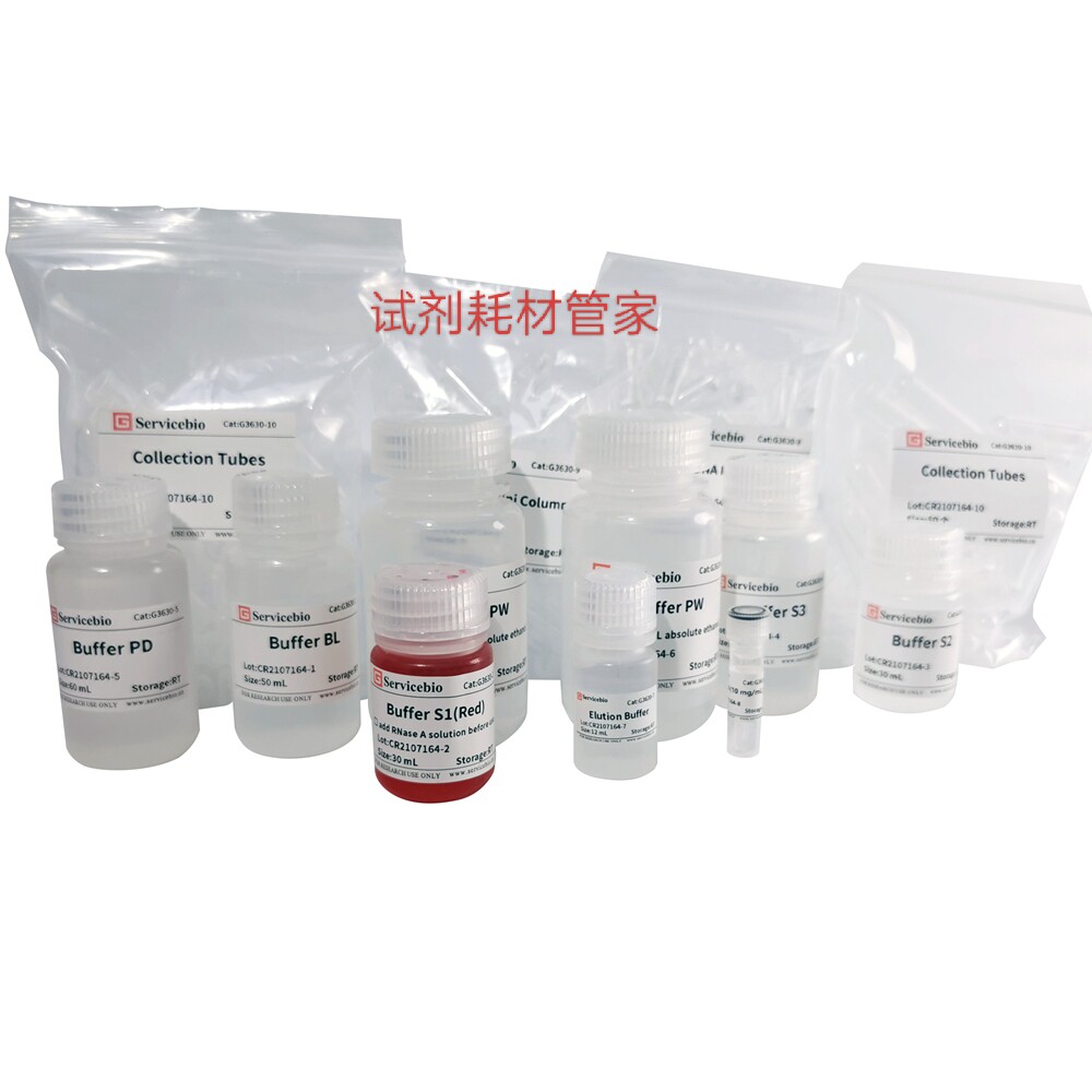 高纯度质粒DNA小量提取试剂盒 柱式法1-5mL菌液提取高纯度质粒DNA