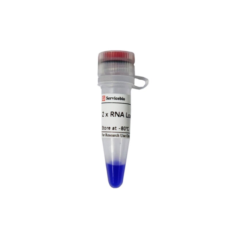 Servicebio适用琼脂糖聚丙烯酰胺凝胶电泳 2&times;RNA Loading Buffer