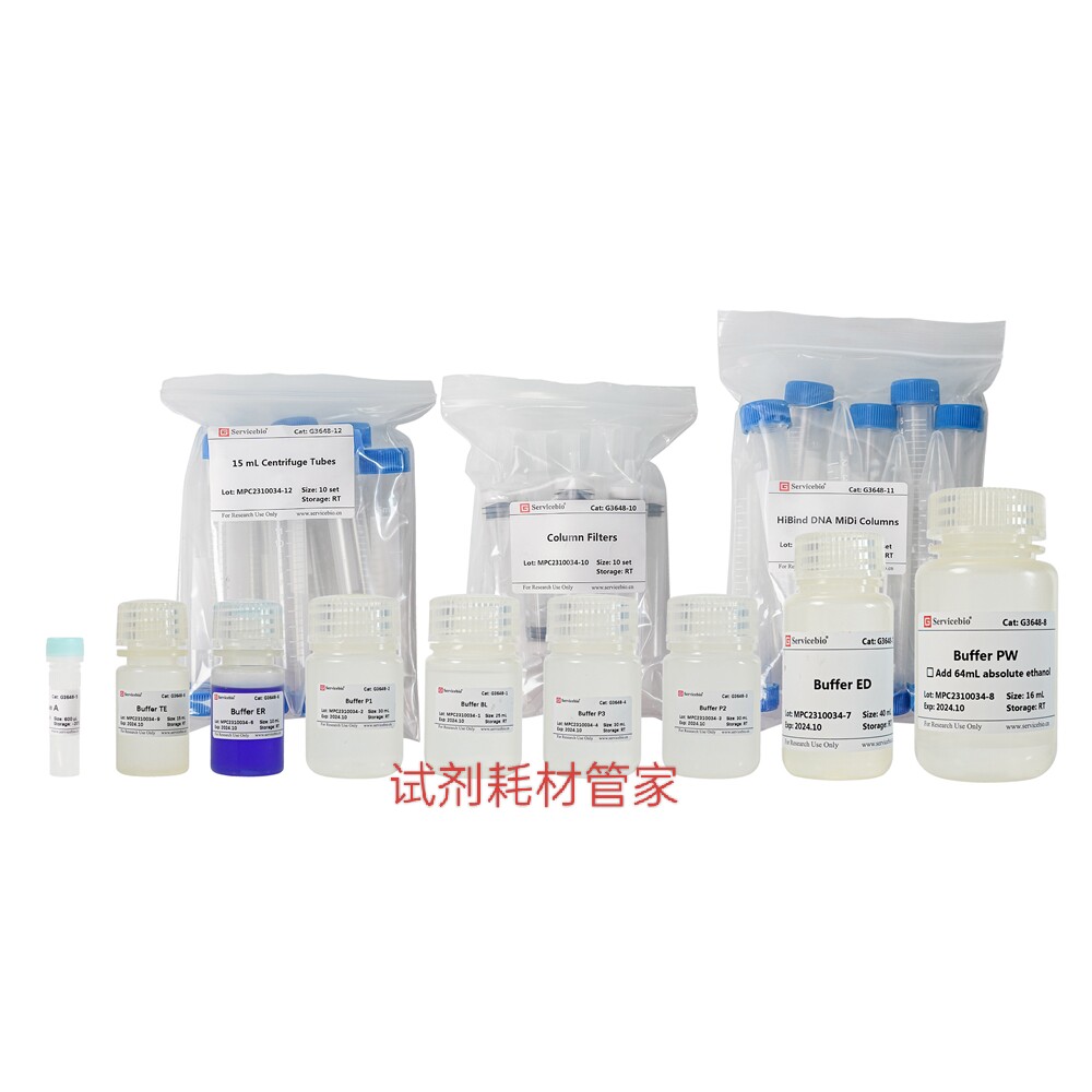 无内毒素质粒DNA中提试剂盒 柱式法 提取高纯度质粒DNA 无内毒素