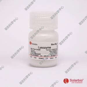 溶菌酶，胞壁质酶，用于水解革兰氏阳性菌和革兰氏阴性菌的细胞壁