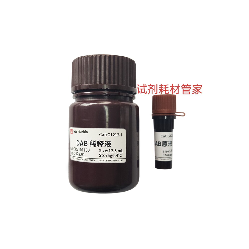 DAB显色试剂盒 用于免疫组化显色/原位杂交显色/Western等HRP标记