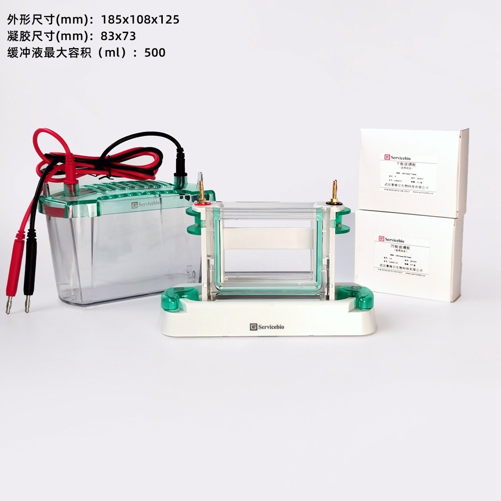Servicebio垂直电泳仪SVE-2适用蛋白质分离与含量测定 免疫学研究