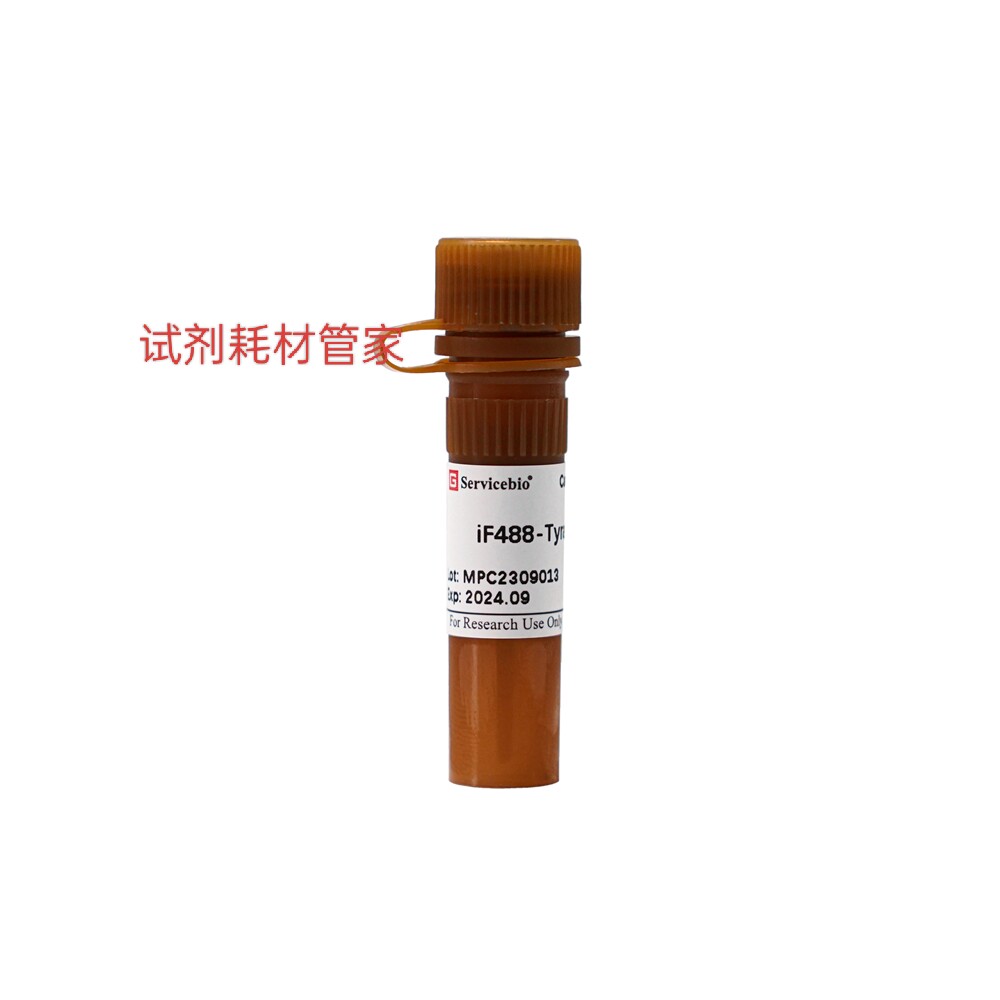 iF488荧光标记酪胺 荧光染料iF488标记的酪胺 可用于多重荧光染色