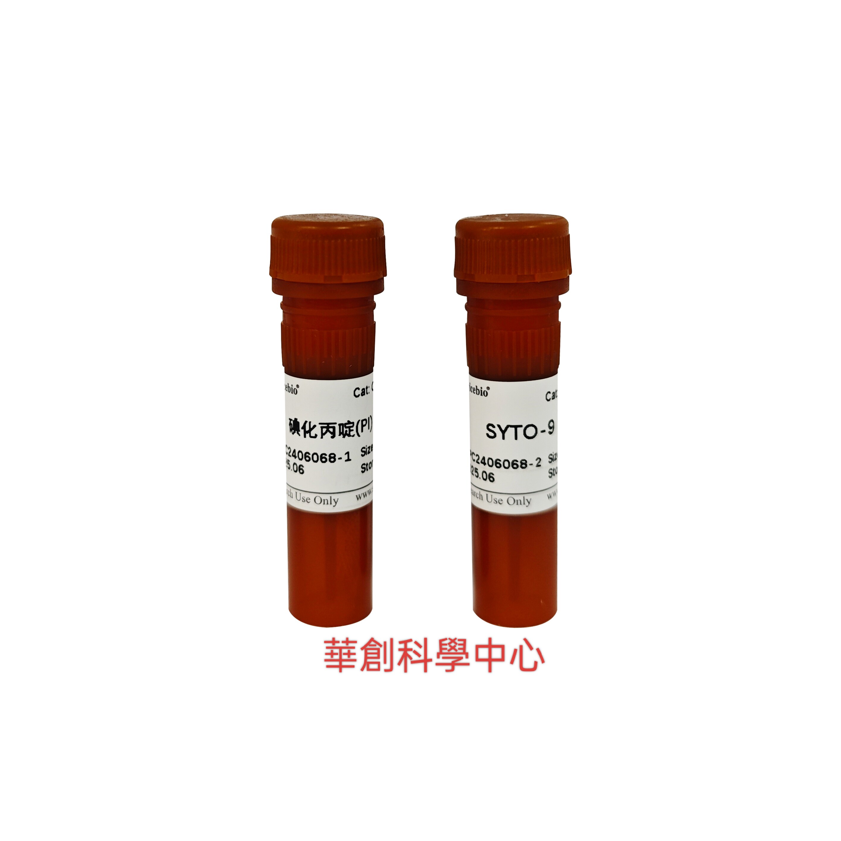 细菌/酵母活力染色试剂盒（SYTO-9/PI荧光法）适用革兰氏菌酵母菌