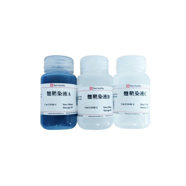 Servicebio神经组织染液 髓鞘染液 神经髓鞘蓝色 背景淡蓝或无色