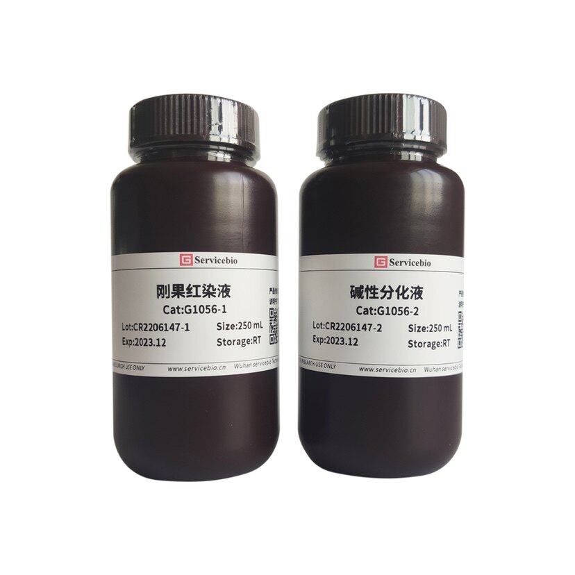 Servicebio神经组织/病理沉着染液刚果红染液 经典淀粉样物质染色