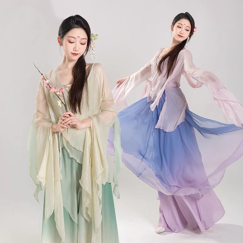 Classical Dance Clothing, Ancient Style Wide-Leg Pants, Chinese Elements, Classical Dance Gauze Clothing, a Complete Set of Art Exams, Super Fairy and Elegant Performance Clothing