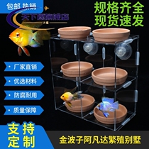 Jinbozi breeding box Avatar isolation box Dutch Phoenix acrylic breeding villa Jinbozi clay incubation tray
