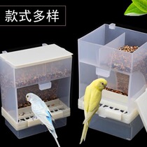 Automatic feeder for parrots tiger skin black phoenix and peony anti-spray and anti-splash bird food box bird feeder supplies