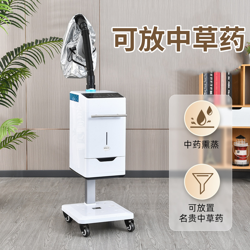 Hair Salon Hair Treatment Machine Multi-Functional Hair Treatment Cap Hair Care Spray Machine Nano Negative Ion Micro-Mist Machine