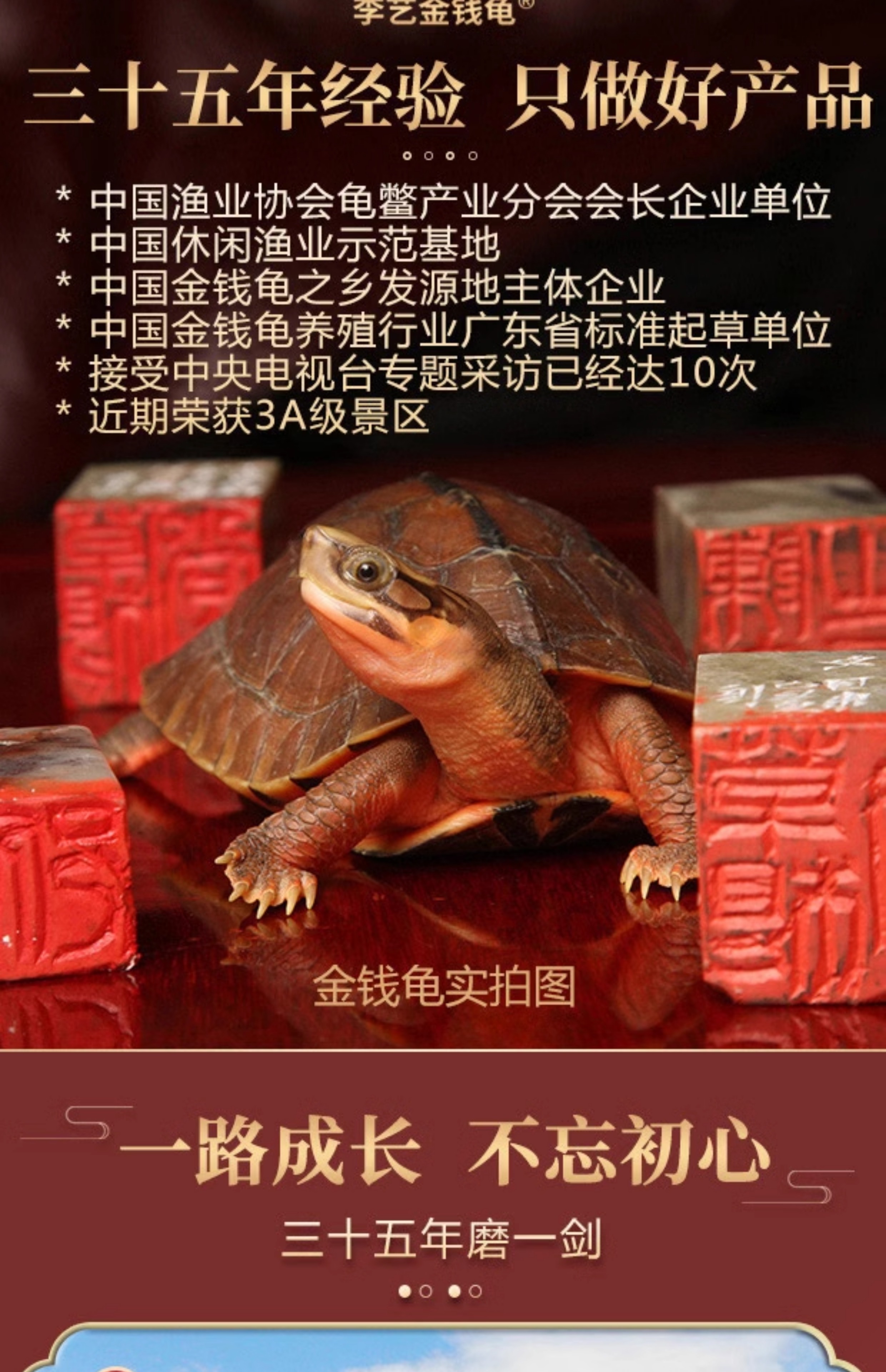 O1CN01Fi7ujv1OrDKS3gZ74_!!2213324641758.