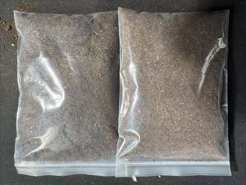 Spider Soil