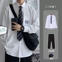 Комплект, рубашка, галстук, штаны, 3 предмета