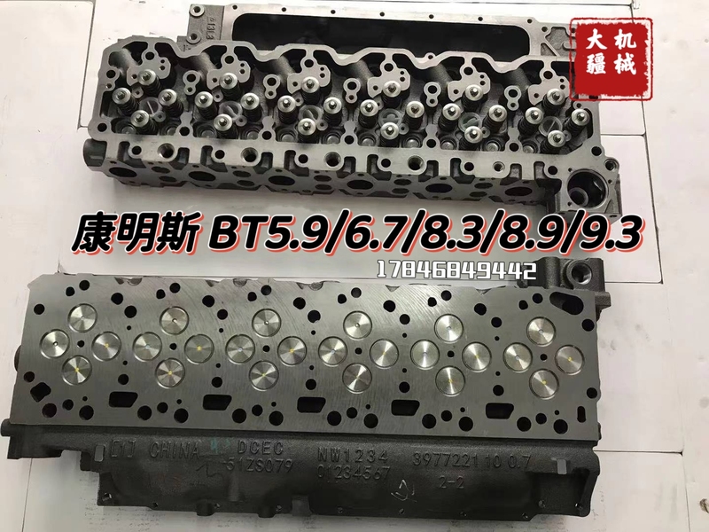 Cummins Cylinder Head Excavator Bt5.9/F3.8/F2.8/Qls9/Qx15/Nt855/6Ct/K19/Bq6.7 Cummins Cylinder Head Excavator Bt5.9/F3.8/F2.8/Qls9/Qx15/Nt855/6Ct/K19/Bq6.7