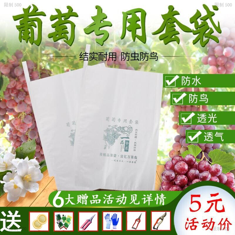 Grape Bagging Special Bag Loquat Peach Bitter Melon Anti-Insect Bag Strawberry Fruit Tree Melon Fruits Fruit Silk Melon Pomace Fruit Bag