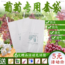 Grape Bagging Special Bag Loquat Peach Bitter Melon Anti-Insect Bag Strawberry Fruit Tree Melon Fruits Fruit Silk Melon Pomace Fruit Bag