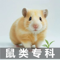 Экзотический доктор медицинских консультаций Hamster Golden Silk Bear Dragon Cat Rabbit Fabolist ветеринар