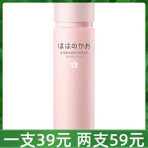 Pro-moisturizing skin care products for pregnant women natural cherry blossom condensation water-activated moisturizing milk moisturizing and hydrating lotion for pregnancy and childbirth