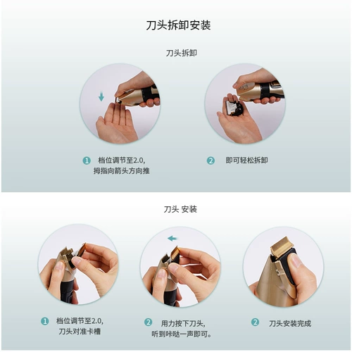 Бритье собаки, питометра