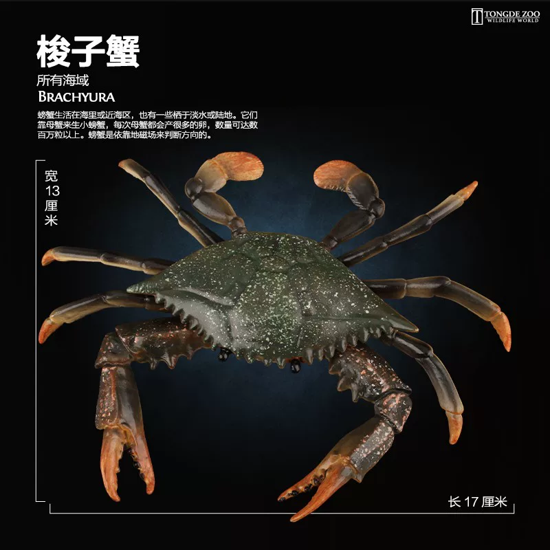 Игрушка, модель морского животного, акула, дельфин, пингвин