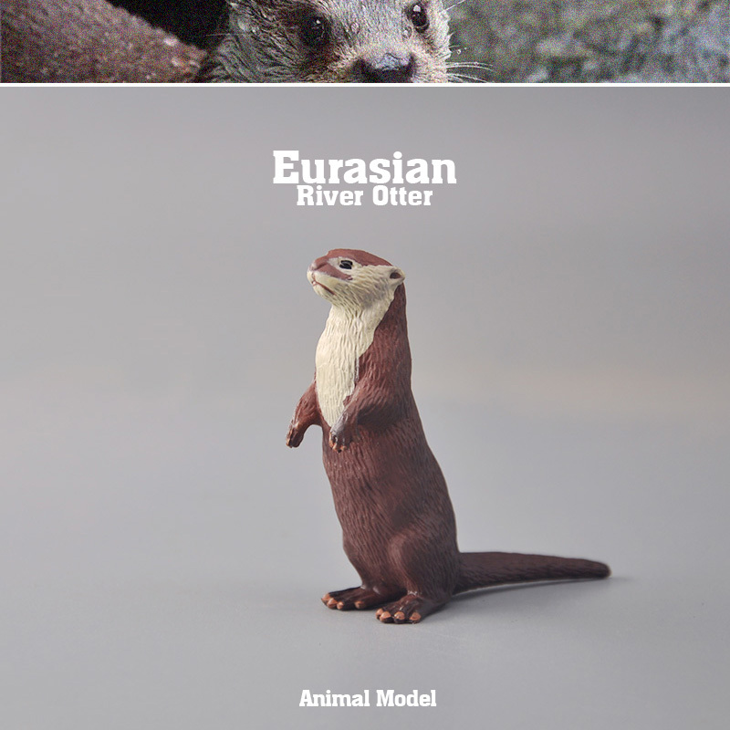 Children's Educational Animal Toys: Standing Otter Model, Wild Fish, Cat, Water Dog, Water Otter, Children's Cognitive Learning Props