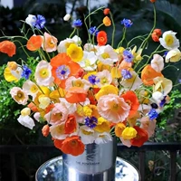 Исландия Радины 20 000 капсул+жир