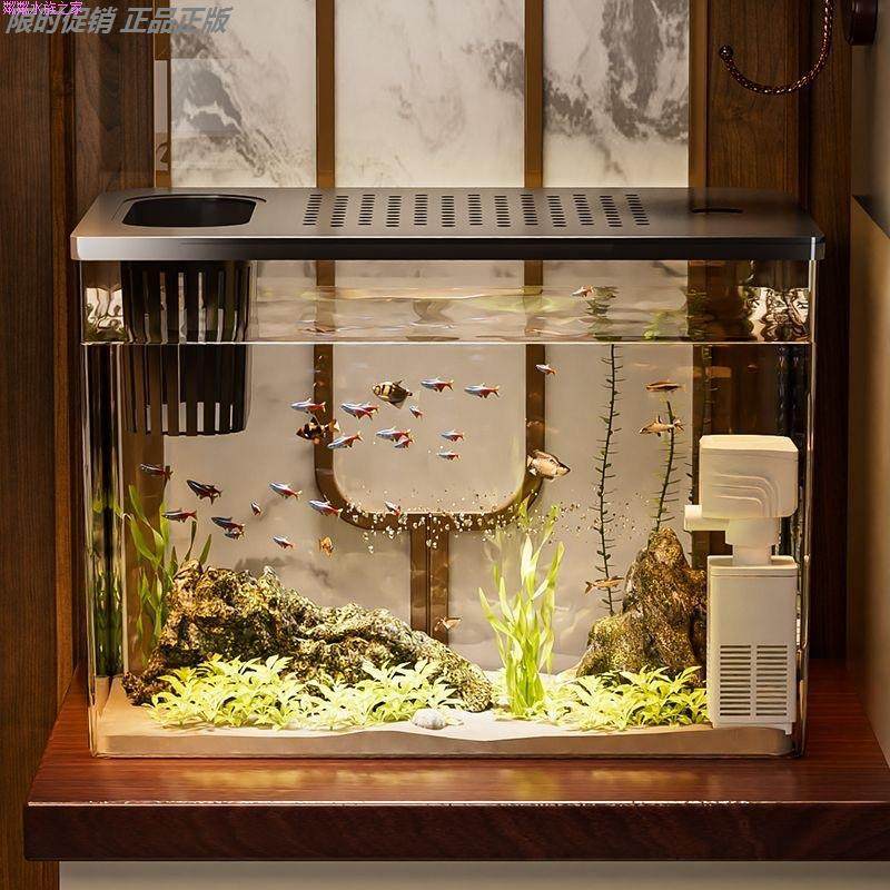 🏡 Ecological goldfish tank | Home decoration must-have for lazy people 🐟