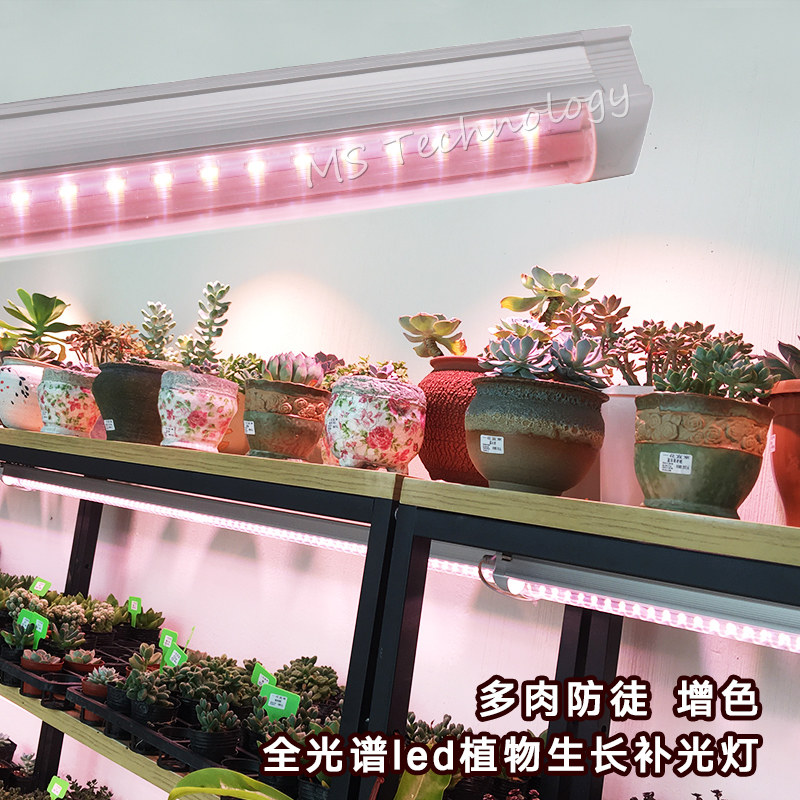 ms���ʿȫ����led��MS-Pro. T8