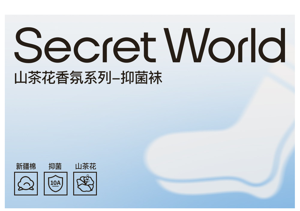 Secret World Mesh Ankle Socks