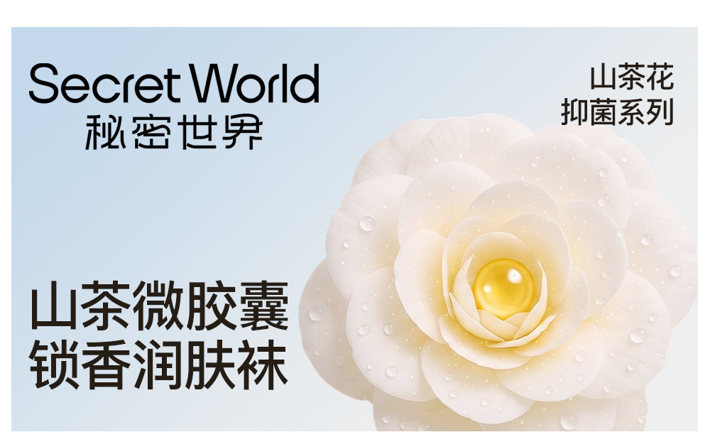Secret World Ballet-Style Loose-Top Cotton Socks