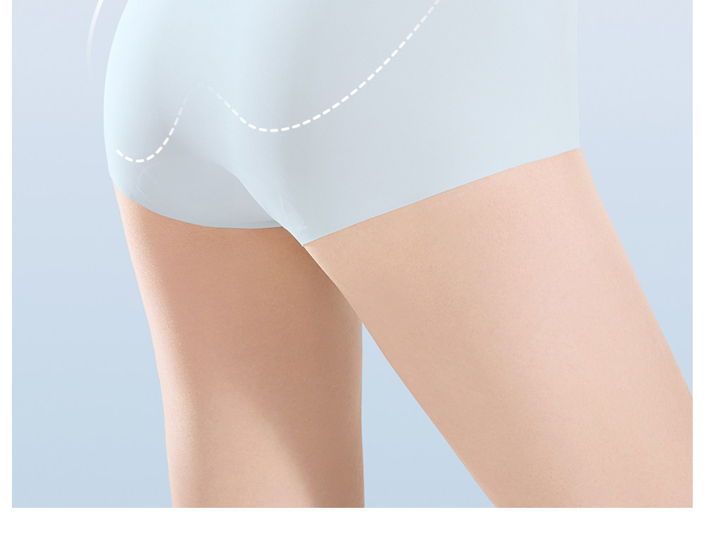 Secret World Seamless No-Show Briefs