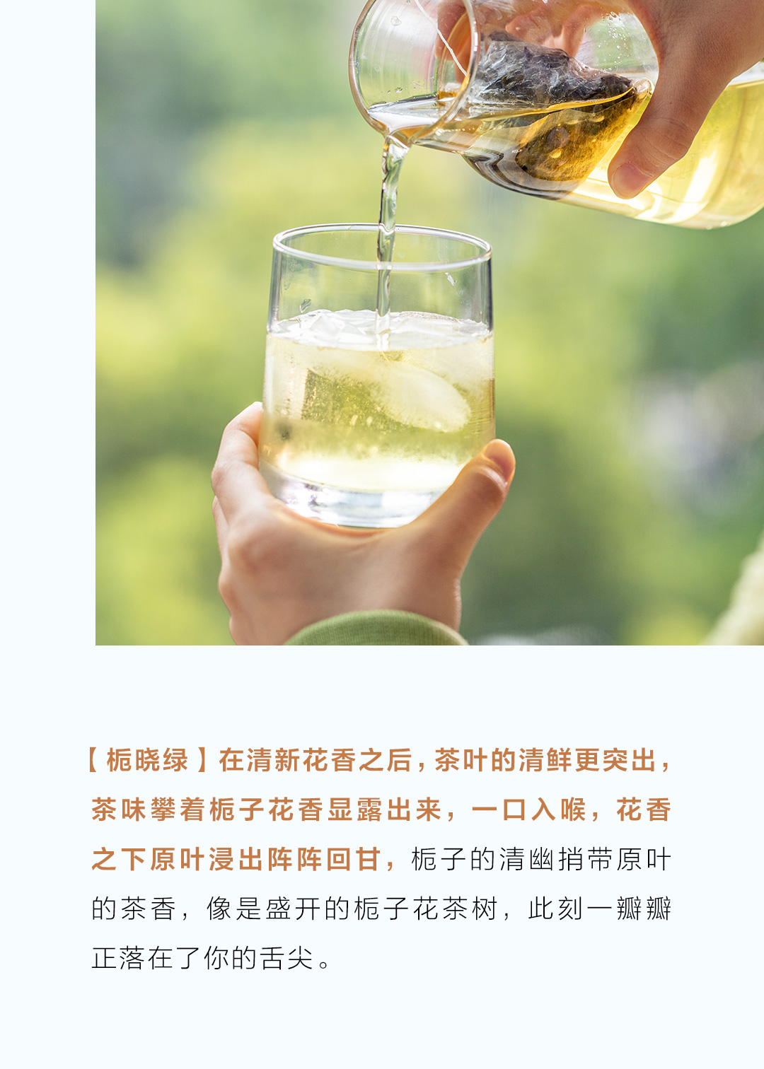 茶颜悦色 习惯茶 栀晓绿茶包 7包*3袋*3件 多重优惠折后¥98包邮 返9元猫超卡 88VIP会员还可95折