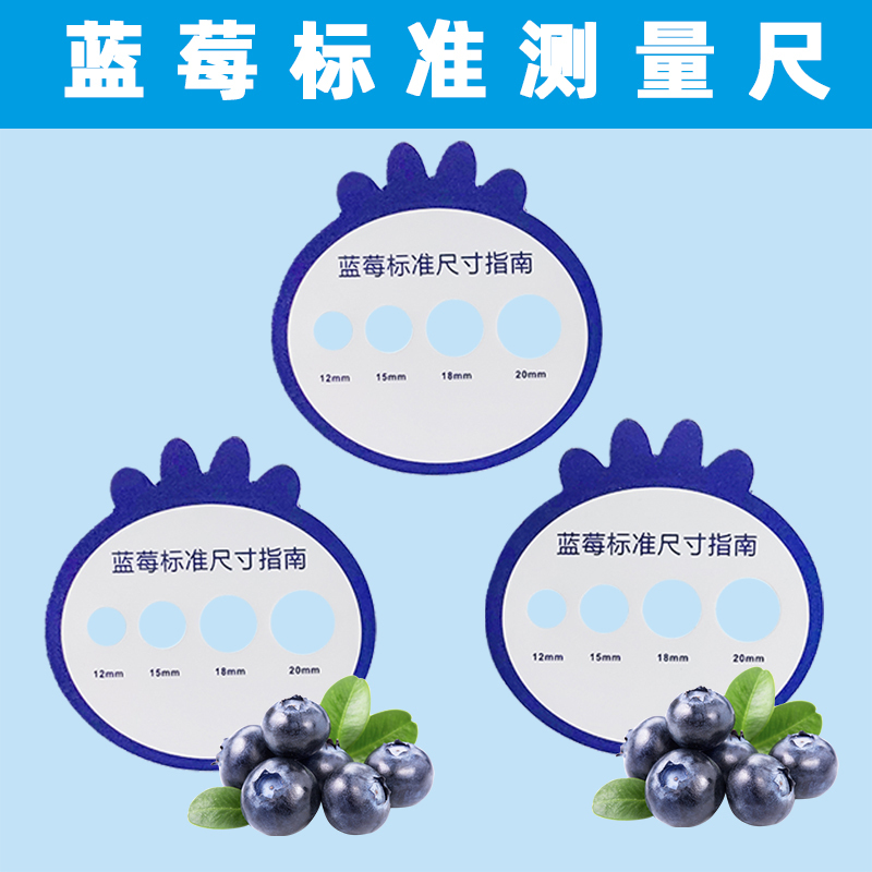Blueberry Standard Measuring Ruler Fruit Diameter Caliper Fresh Fruit Grading Cherry Size Plastic Side Measuring Tool Ruler