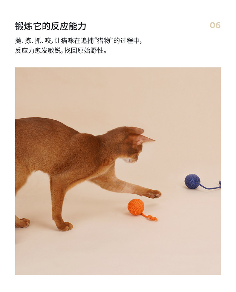 Игрушка для кошек zeze猫玩具逗猫棒耐咬猫薄荷球猫猫玩具套装小猫幼猫自嗨猫咪玩具