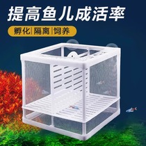Fish tank breeding isolation box isolation net guppy large incubator tropical fish small fry breeding box separation