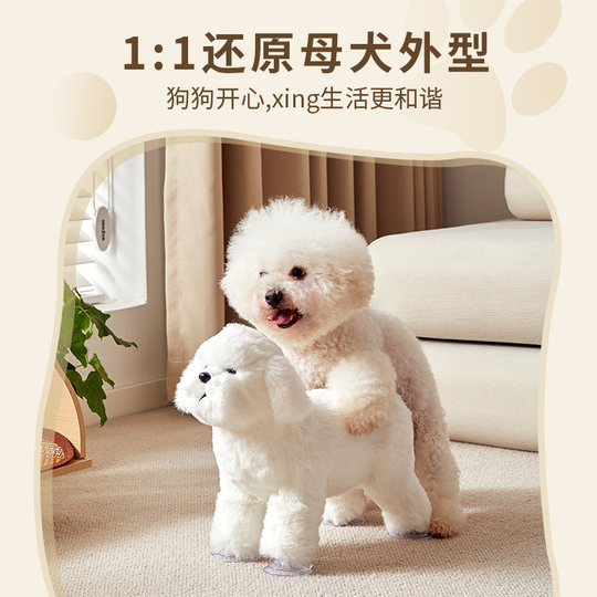Bichon Teddy Dog in Heat Period Toy Male Dog Mating Puppy Self-Pleasure Self-Stimulation Sex Partner Female Dog Boredom Relief