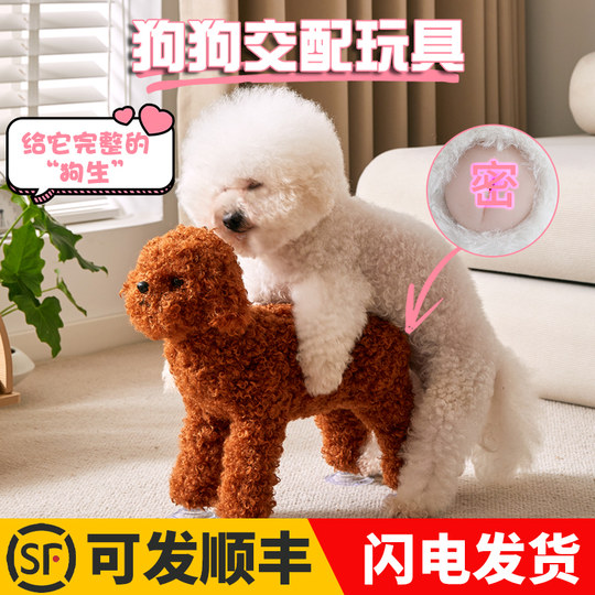 Bichon Teddy Dog in Heat Period Toy Male Dog Mating Puppy Self-Pleasure Self-Stimulation Sex Partner Female Dog Boredom Relief