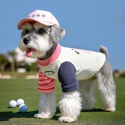 Small Dog Clothes Autumn and Winter Thin Pet T-Shirt Schnauzer Bichon Teddy 2025 New Vest Base Shirt